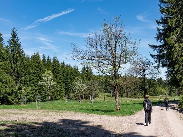 Wanderung zum Waldschwimmbad Oberhof, Tipp Hotel Oberhof