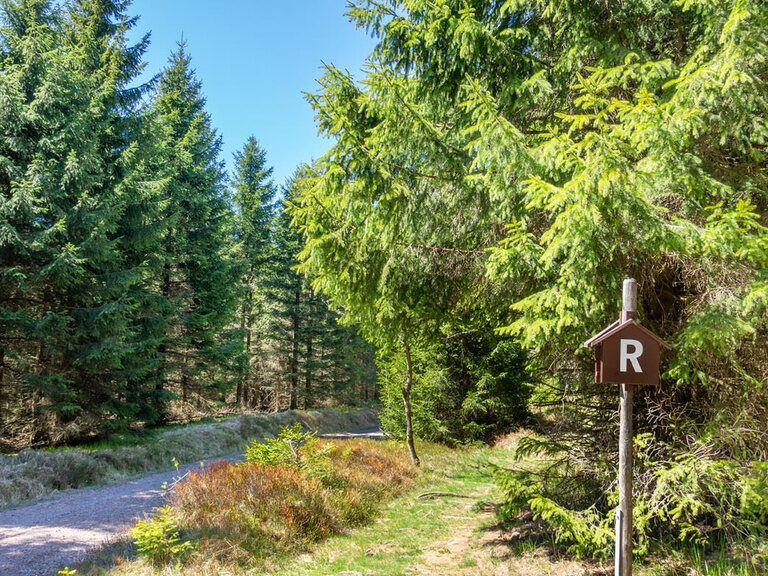 Wanderurlaub am Rennsteig. Tipp Wanderhotel Oberhof