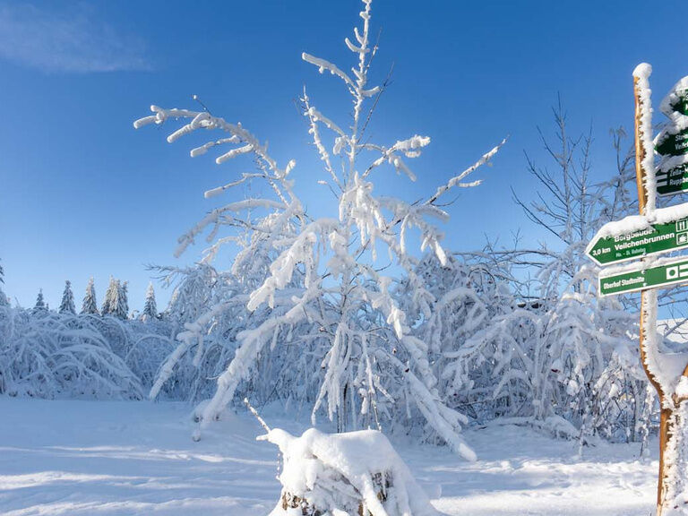 Wanderwege in Oberhof, Hotel Tipp