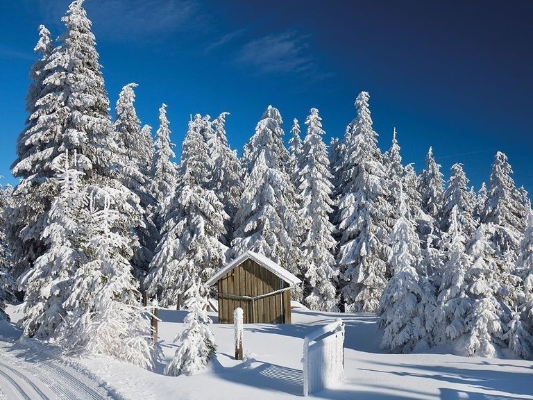 Winter im Thüringer Wald, Hotel in Oberhof buchen