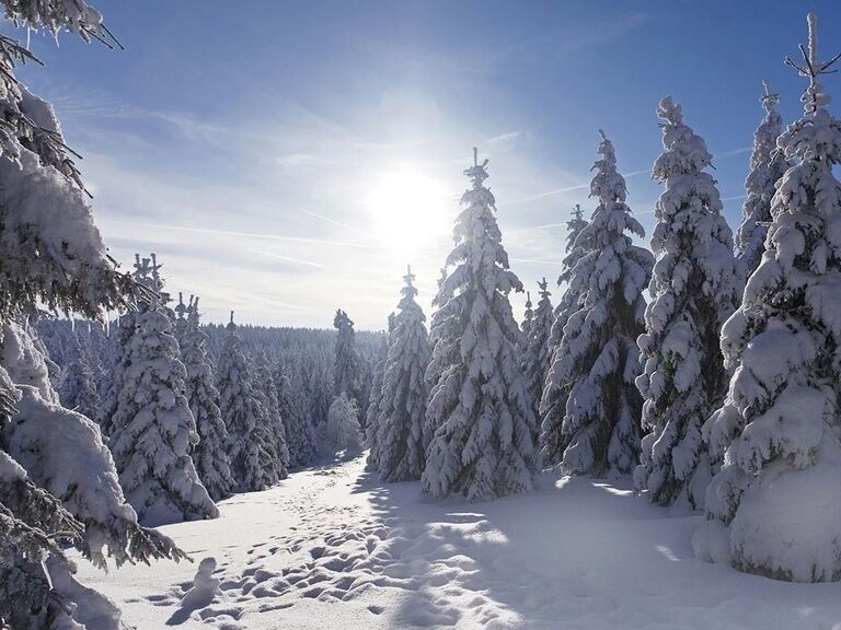 Winter landscape example picture winter vacation Thuringian Forest