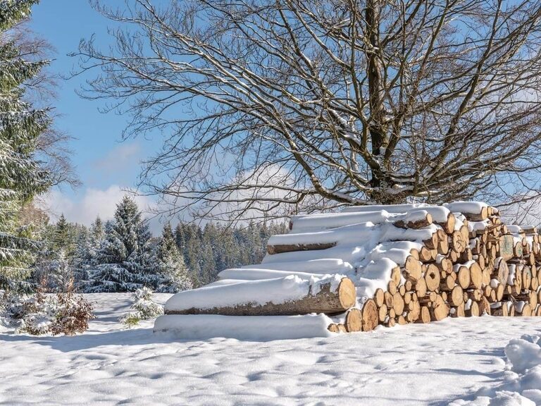 Ein Stapel Holz liegt am Wegesrand im winterlichen Wald bei Oberhof.