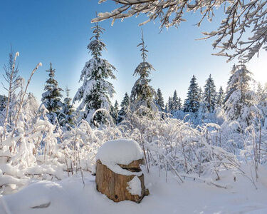 Winter-Wanderwege in Oberhof, Hotel Tipp