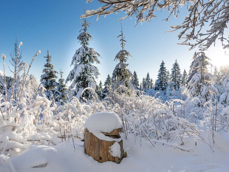 Winter-Wanderwege in Oberhof, Hotel Tipp