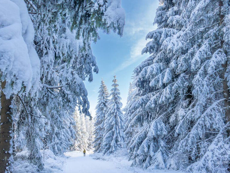 Winter-Wanderwege in Oberhof, Hotel Tipp