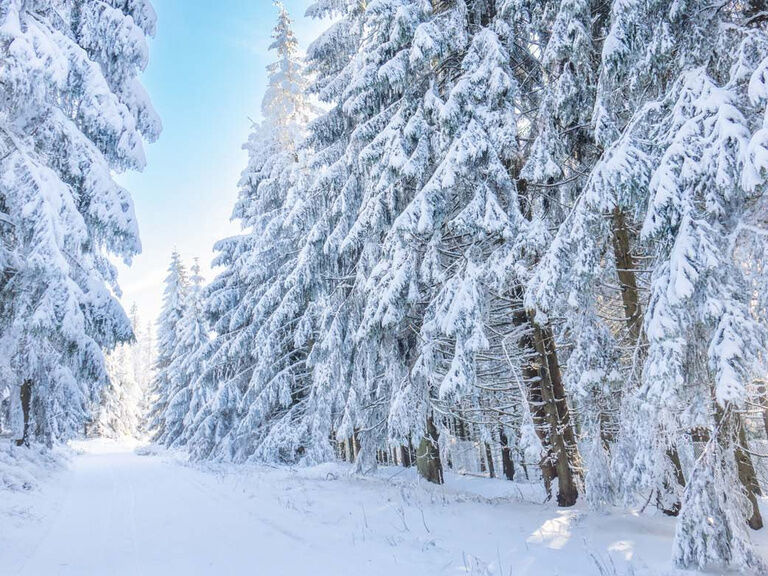 Winter-Wanderwege in Oberhof, Hotel Tipp Winter-Wanderwege in Oberhof, Hotel Tipp