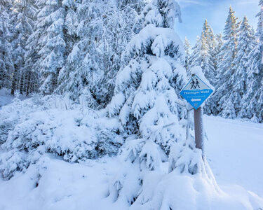 Winterwanderung bei Oberhof, Hotel Oberhof Tipp